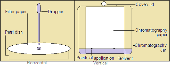 chromatography, chromatographyimage, high school chemistry volume and shape of liquids