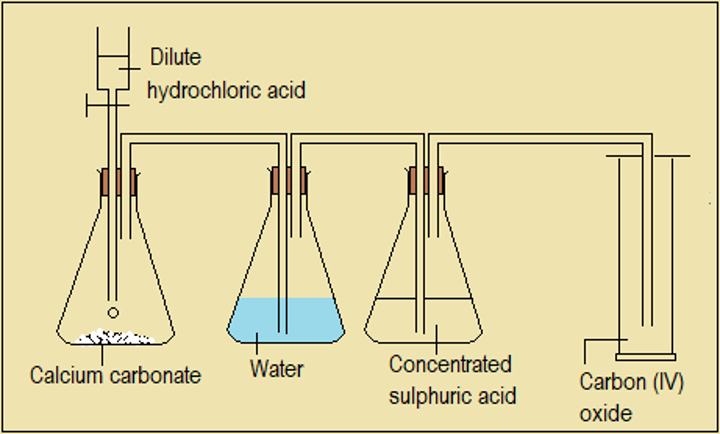 Preparation of carbon (IV) oxide,high school chemistry , Chemistry