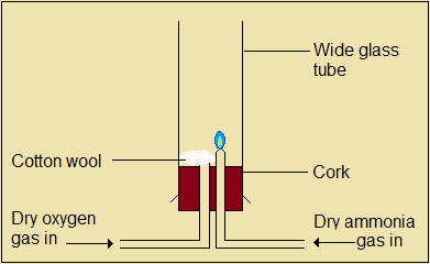 Set-up to burn ammonia in oxygen gas,nitrogen and its compounds,high school chemistry