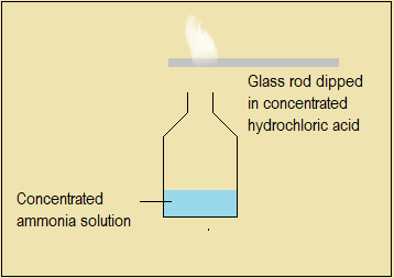 Set-up to demonstrate direct combination between ammonia and hydrogen chloride gases,nitrogen and its compounds,high school chemistry