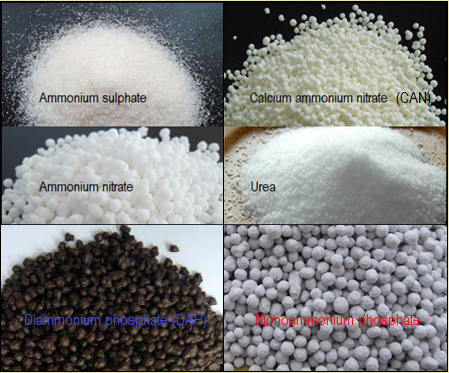 nitrogeneous fertilizers,nitrogen and its compounds,high school chemistry