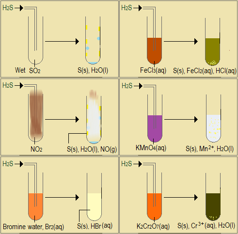   Reducing property of hydrogen sulphide, Sulphur and some of its compounds,  Sulphur and its compounds,high school chemistry