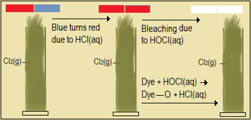   Chlorine and its compounds,high school chemistry