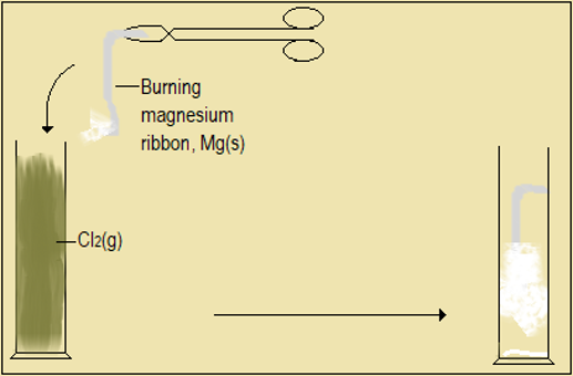   Chlorine and its compounds,high school chemistry